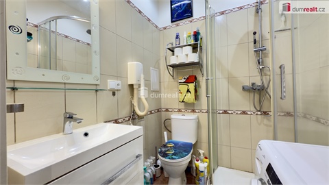 Prodej bytu 1+1, 33 m² 10