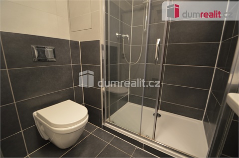 Pronájem bytu 1kk, 35 m² 4