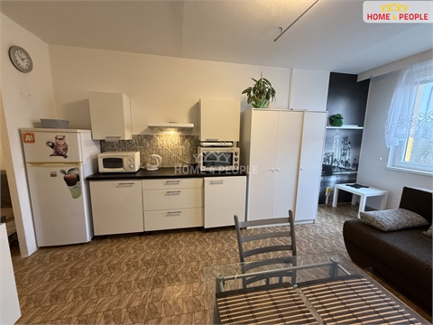 Pronájem bytu 3kk, 45 m² - 14
