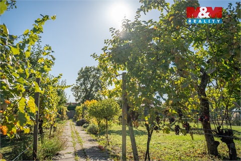 Prodej rodinného domu, 168 m² - 22