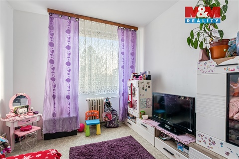 Prodej bytu 3+1, 65 m² - 14