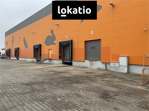 Pronájem skladu / haly, 4 766 m² 2