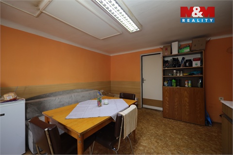 Prodej obchodních prostor, 450 m² - 6