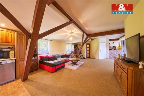 Prodej rodinného domu, 370 m² - 10