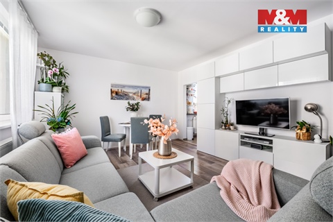 Pronájem bytu 3+1, 63 m² - 0