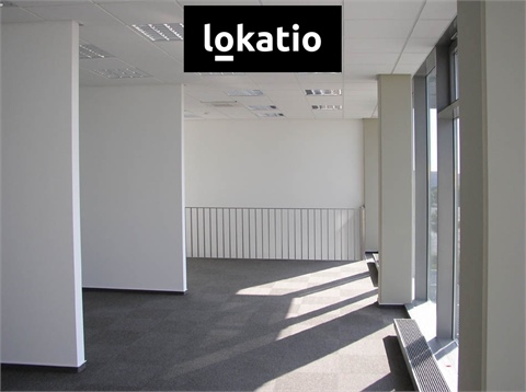 Pronájem skladu / haly, 15 709 m² - 2