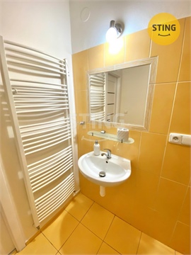 Pronájem bytu 2+1, 54 m² - 12