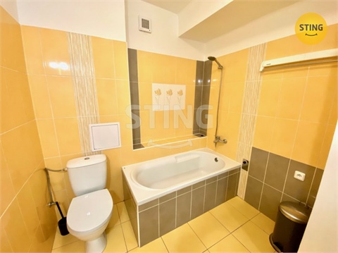 Pronájem bytu 2+1, 54 m² 12