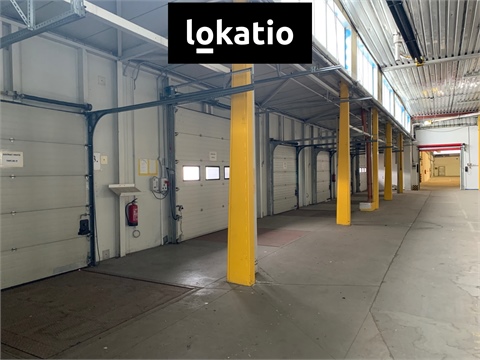 Pronájem skladu / haly, 4 894 m² - 20