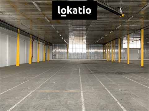 Pronájem skladu / haly, 4 894 m² - 18