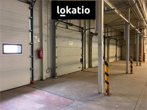 Pronájem skladu / haly, 4 894 m² - 4