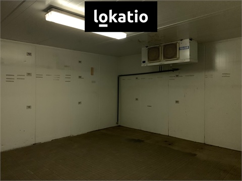 Pronájem skladu / haly, 4 894 m² - 12