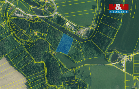 Prodej lesu, 6 543 m² - 2