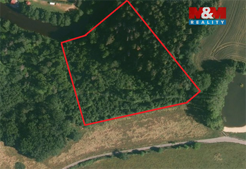 Prodej lesu, 9 271 m² - 0