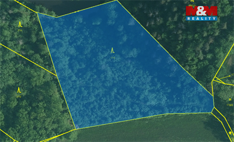 Prodej lesu, 9 271 m² - 2