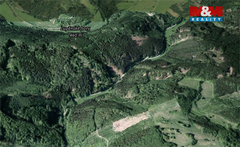 Prodej lesu, 12 967 m² - 2