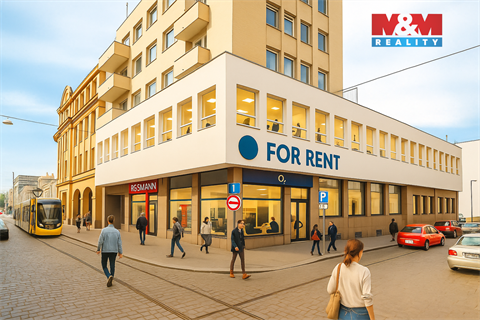 Pronájem obchodních prostor, 182 m² - 2