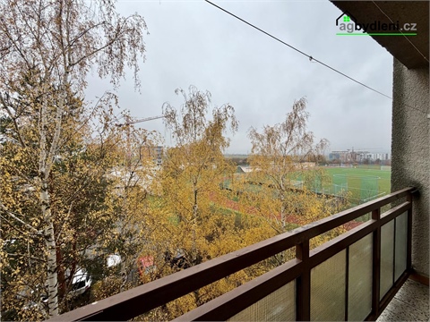 Pronájem bytu 1+1, 41 m² 10