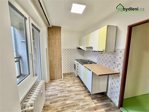 Pronájem bytu 1+1, 41 m² 0