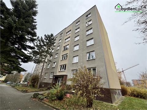 Pronájem bytu 1+1, 41 m² 12