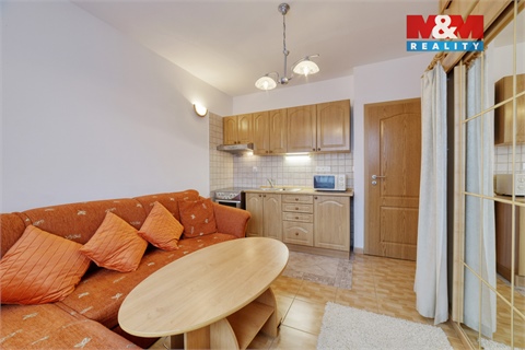 Pronájem bytu 1kk, 20 m² 12