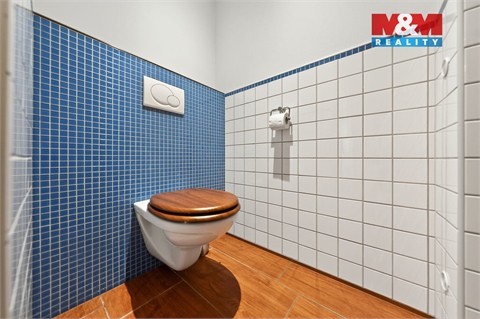 Prodej bytu 3+1, 80 m² - 20