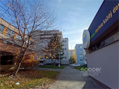 Pronájem bytu 1kk, 30 m² - 8