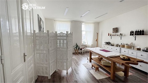 Prodej činžovního domu, 1 790 m² - 16