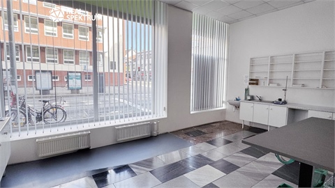 Prodej činžovního domu, 1 790 m² 4