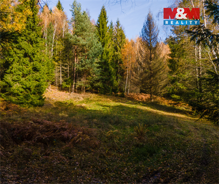 Prodej louky, 4 541 m² - 4