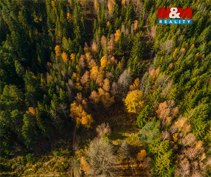 Prodej louky, 4 541 m² - 8