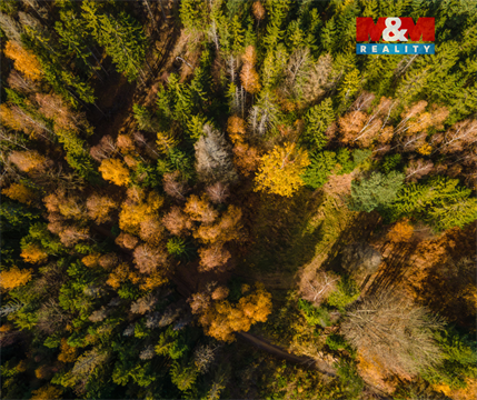 Prodej louky, 4 541 m² - 6