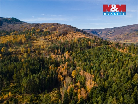 Prodej louky, 4 541 m² - 10