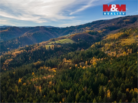 Prodej louky, 4 541 m² 14