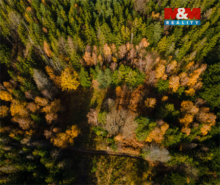 Prodej louky, 4 541 m² 10