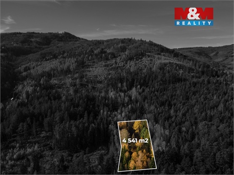 Prodej louky, 4 541 m² - 0