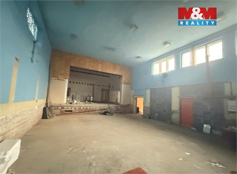 Prodej komerčního objektu, 750 m² - 12