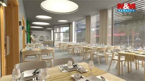 Prodej komerčního objektu, 750 m² 10