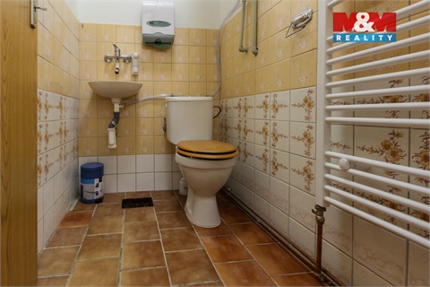 Pronájem obchodních prostor, 40 m² - 4