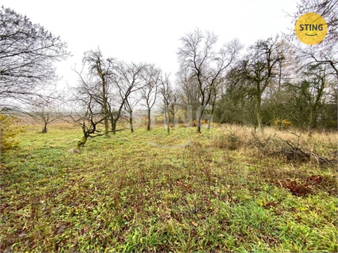 Prodej rodinného domu, 300 m² 4