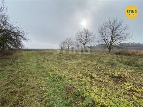 Prodej rodinného domu, 300 m² - 16