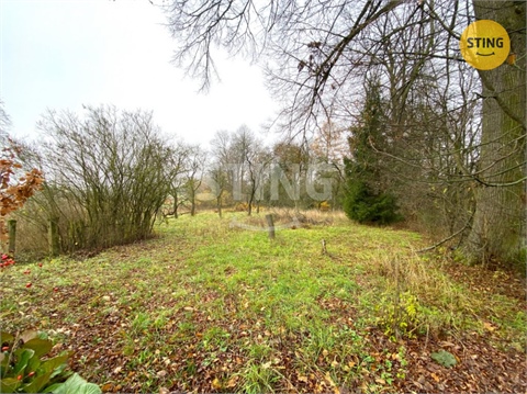 Prodej rodinného domu, 300 m² 14