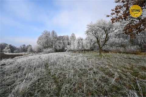 Prodej rodinného domu, 300 m² - 20