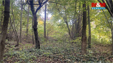 Prodej stavebního pozemku, 1 330 m² 8