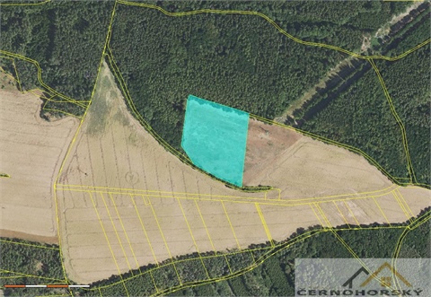 Prodej zemědělské půdy, 68 643 m² - 0