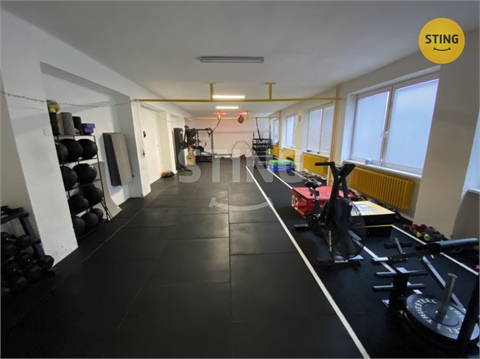 Pronájem komerčního objektu, 116 m² - 2