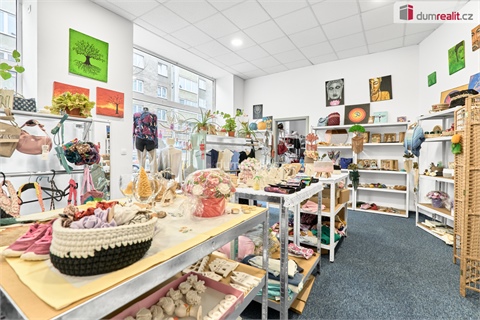 Prodej komerčního objektu, 980 m² 16