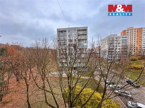 Pronájem bytu 2+1, 46 m² 12