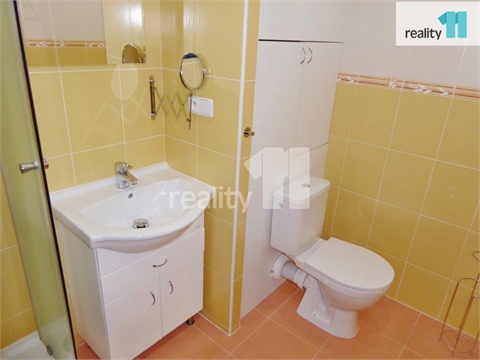 Pronájem bytu 1kk, 40 m² 8