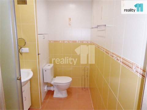 Pronájem bytu 1kk, 40 m² 10